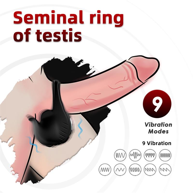 Anillo Vibrador para Pene y Testículos - Imagen 7