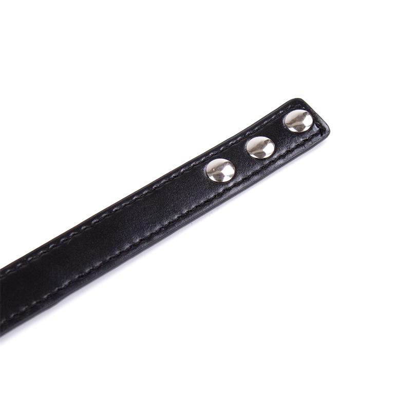 Collar con Aro Ajustable 38,2 cm Negro - Imagen 4