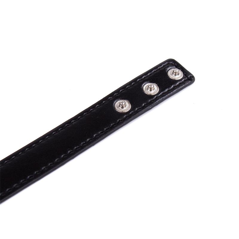 Collar con Aro Ajustable 38,2 cm Negro - Imagen 5