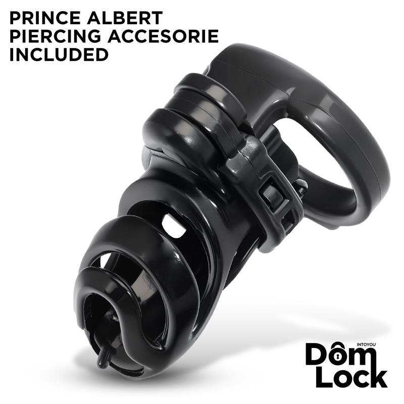 Detention Jaula para el Pene con Accesorio para Prince Albert - Imagen 3