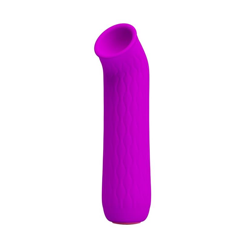 DISC*Ford Vibrator USB Purple CL50