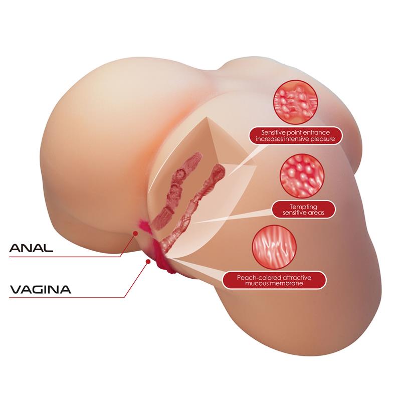 Masturbador Ano y Vagina 5.4 kg - Imagen 6