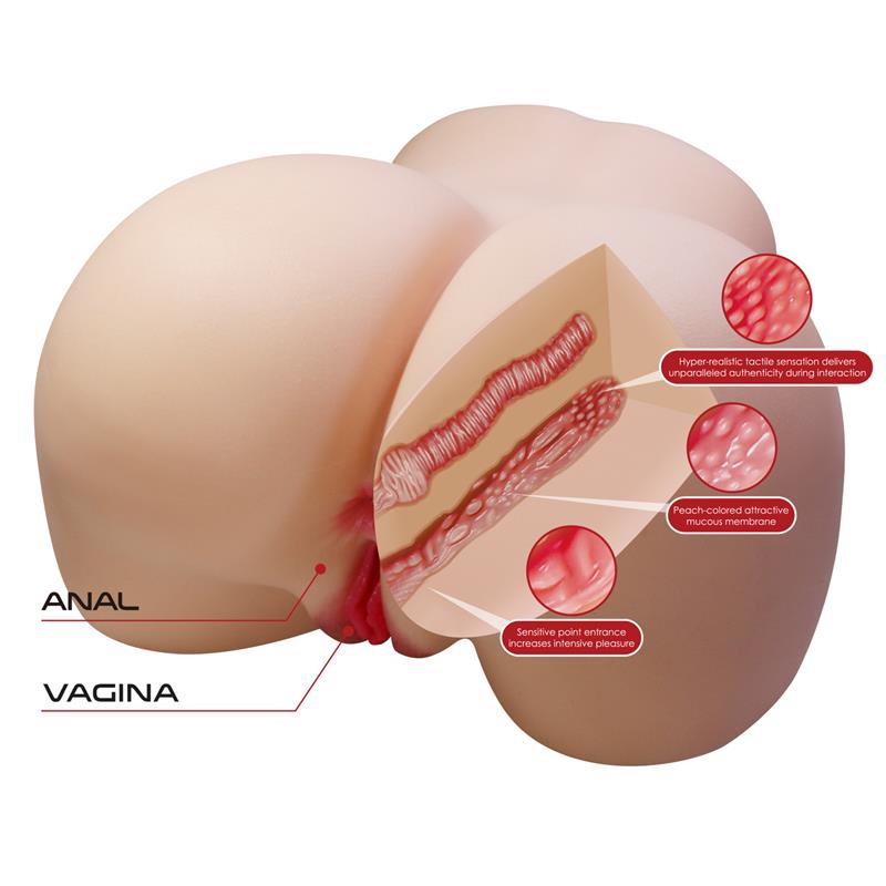 Masturbador Vagina y Ano 11kg - Imagen 5