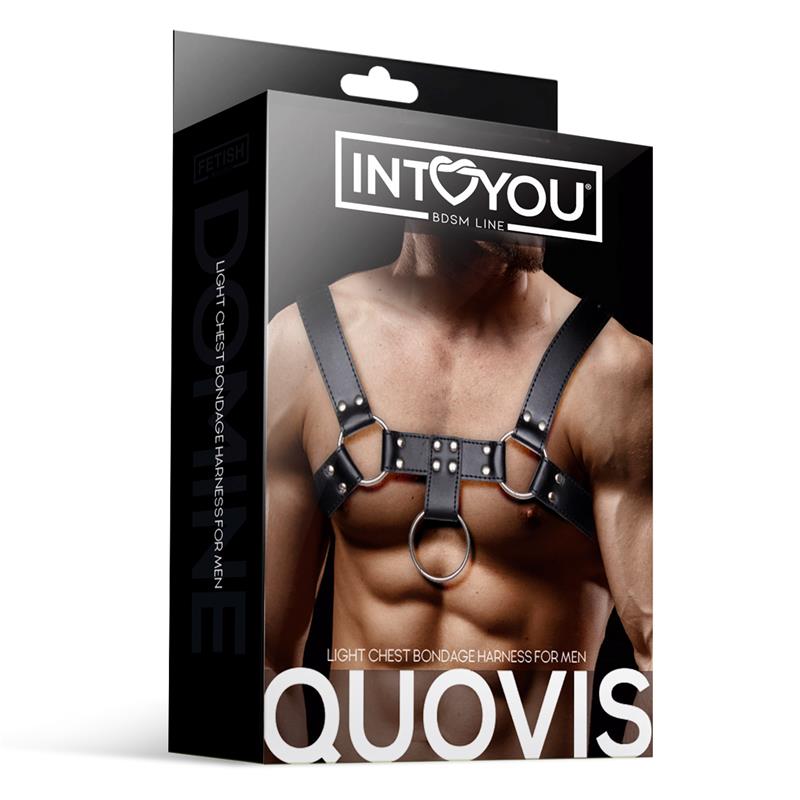 Quovis Arnés Masculino para Bondage Cuero Vegano - Imagen 4