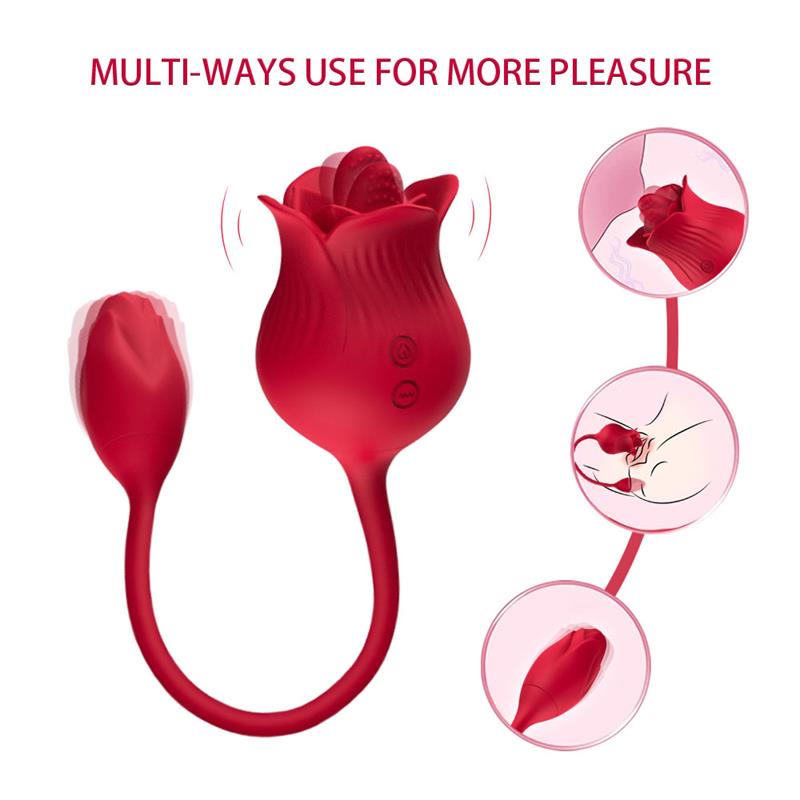 Rosa con Licking y Huevo Vibrador USB - Imagen 11