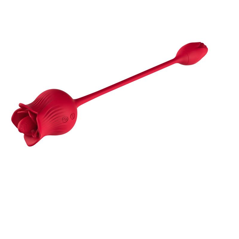 Rosa con Licking y Huevo Vibrador USB - Imagen 5