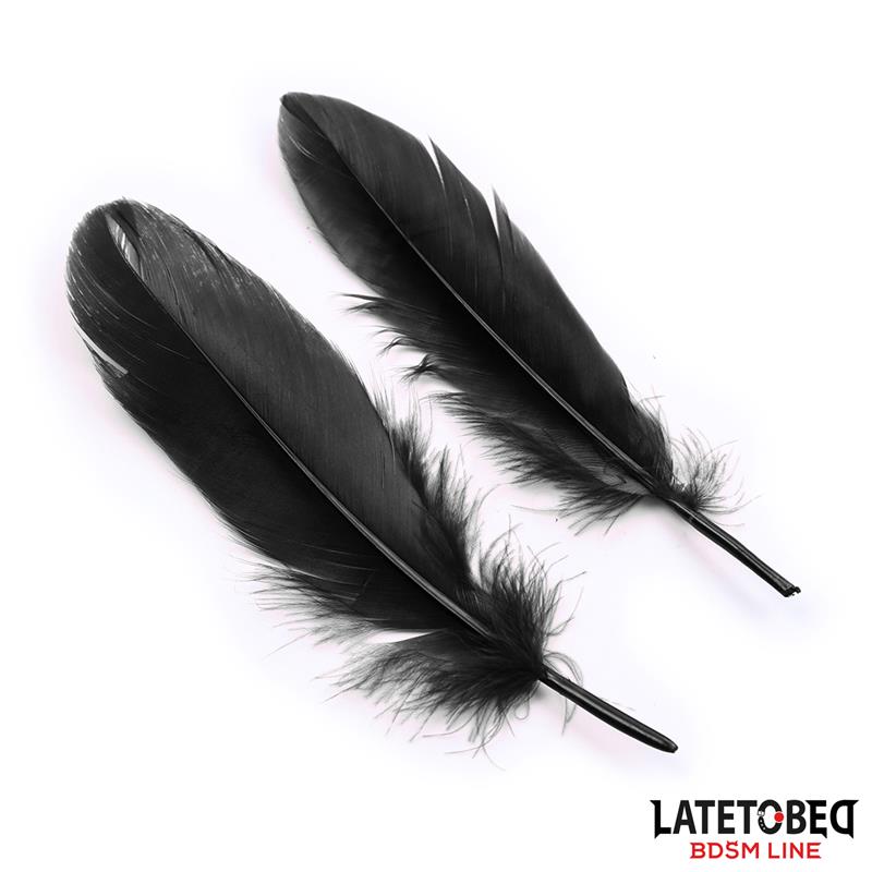 Set de 3 Piezas Antifaz, Esposas y Plumas Negro - Imagen 5
