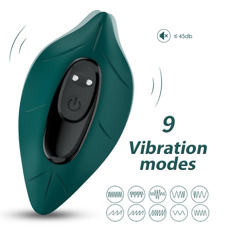 Vibrador de Braguita - Imagen 3