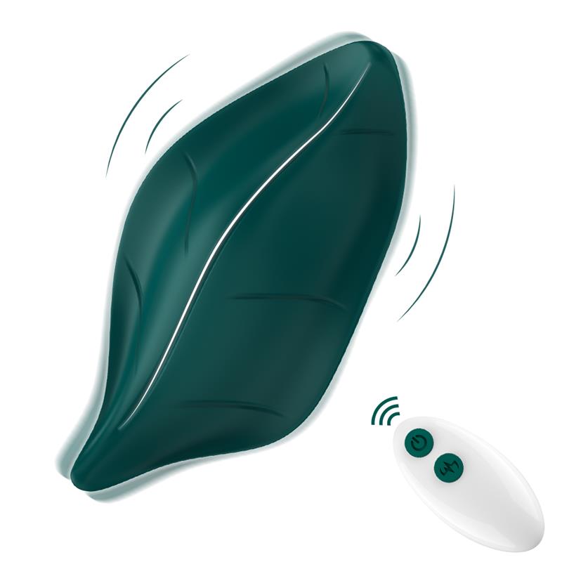 Vibrador de Braguita - Imagen 5