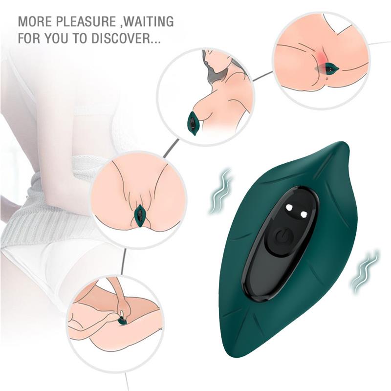 Vibrador de Braguita - Imagen 6