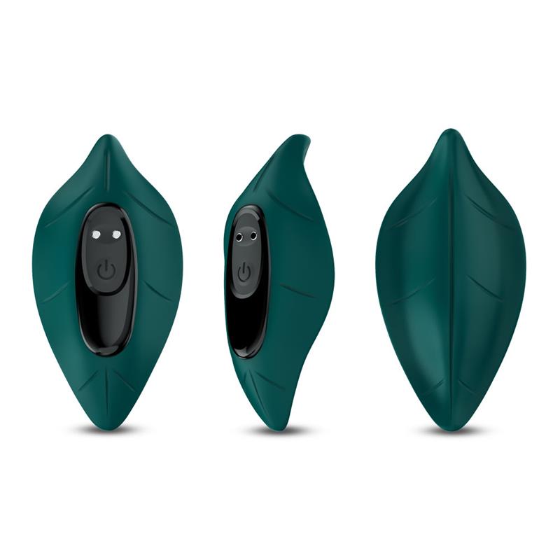 Vibrador de Braguita - Imagen 7
