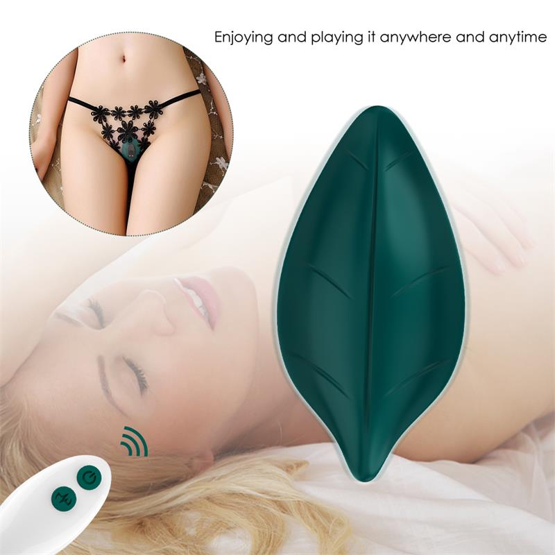 Vibrador de Braguita - Imagen 8