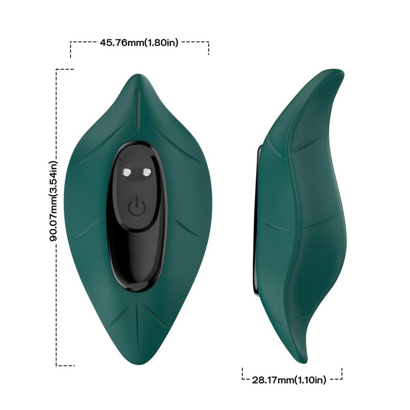 Vibrador de Braguita - Imagen 11