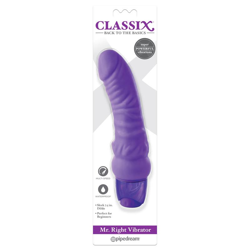 Vibrador Mr. Right Purpura - Imagen 2